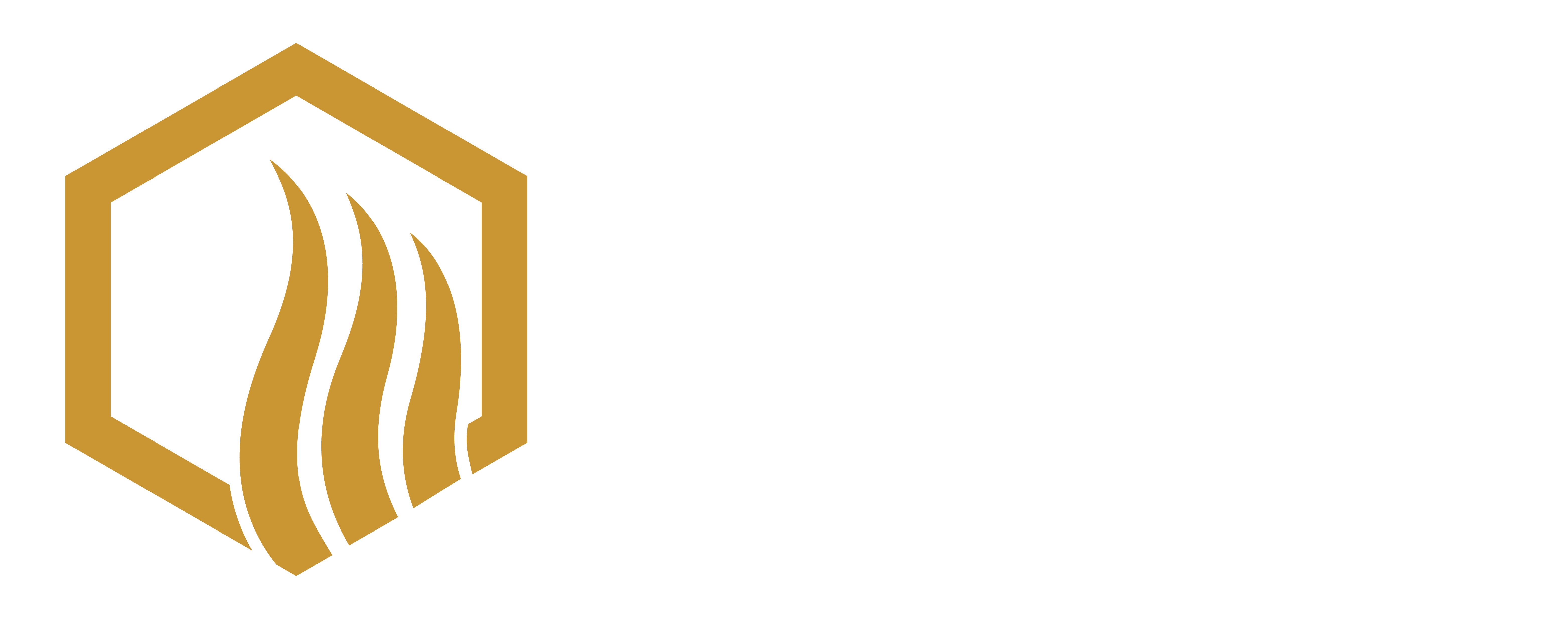 Protega Solutions